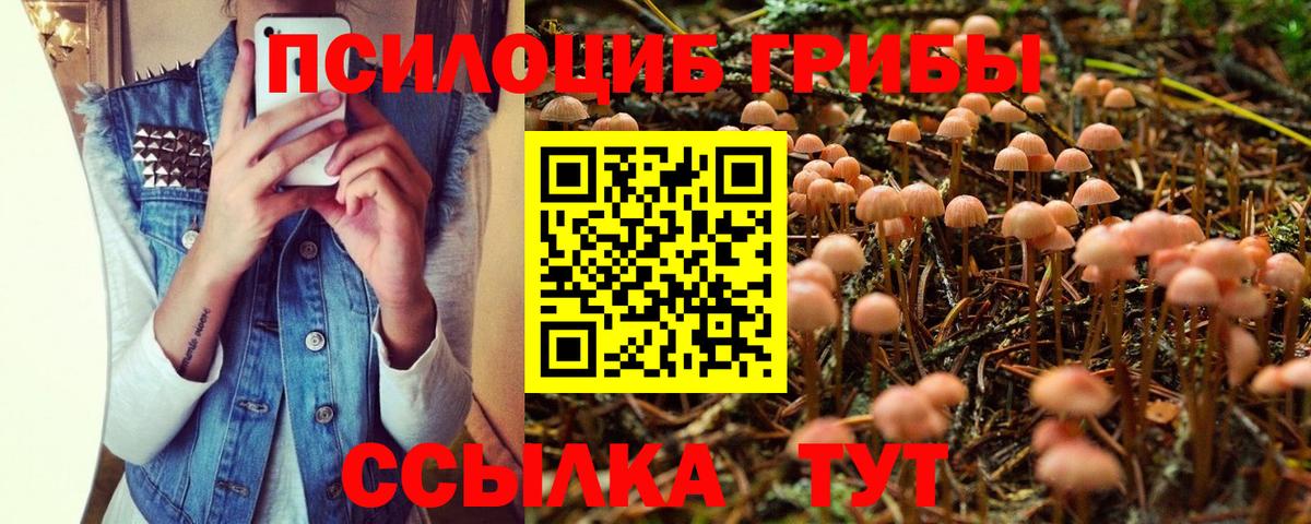 Псилоцибиновые грибы ЛСД  Вход с VPN  магазин продажи наркотиков  Советск 